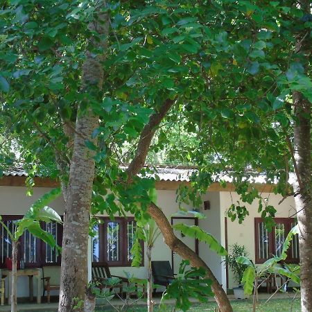 Talalla Coconut Hotel Екстер'єр фото