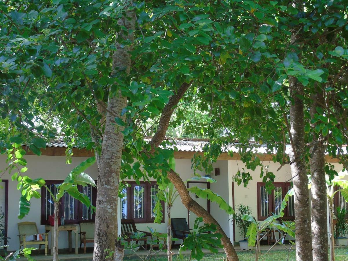 Talalla Coconut Hotel Екстер'єр фото